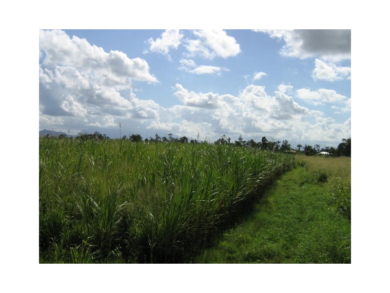 Innisfail QLD 4860