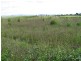 Innisfail QLD 4860