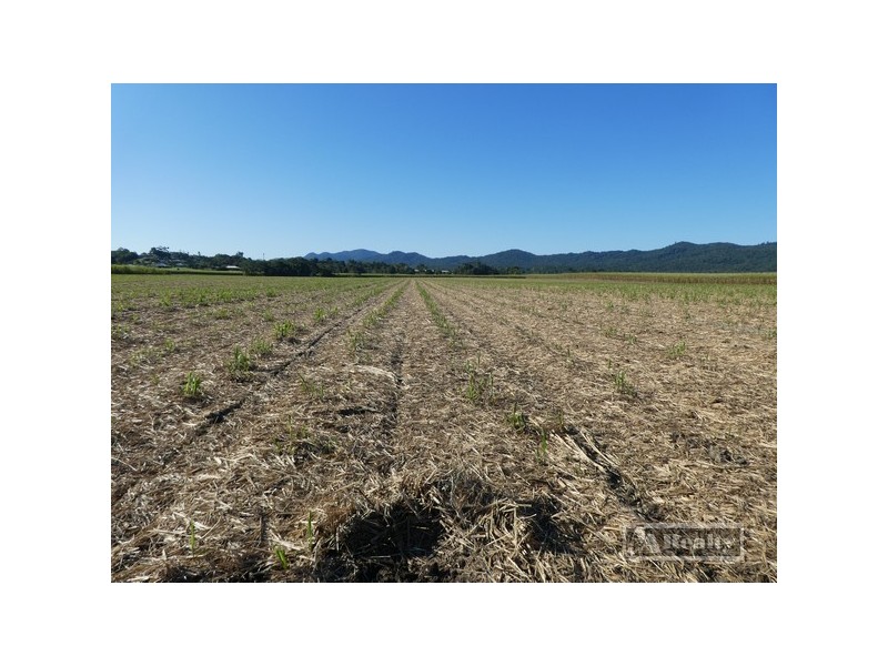 Innisfail QLD 4860