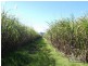 Innisfail QLD 4860