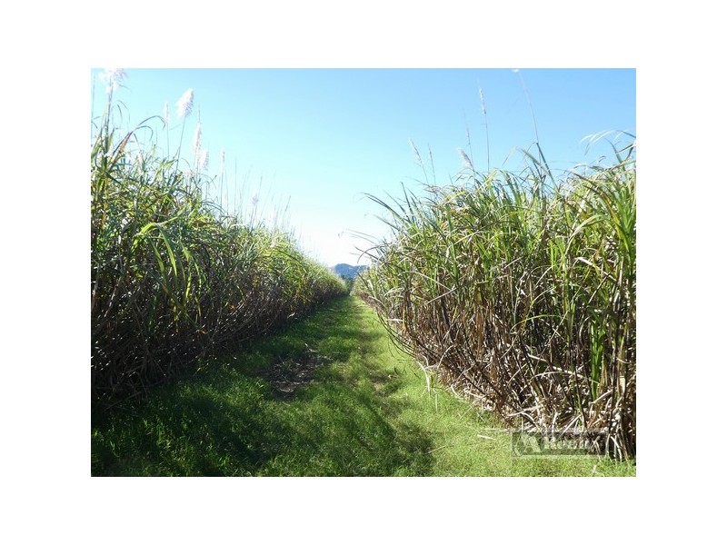 Innisfail QLD 4860