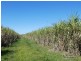Innisfail QLD 4860