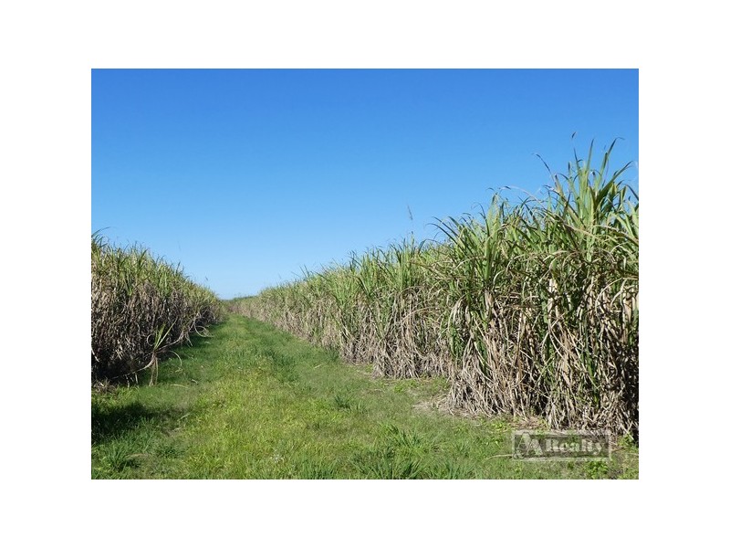 Innisfail QLD 4860