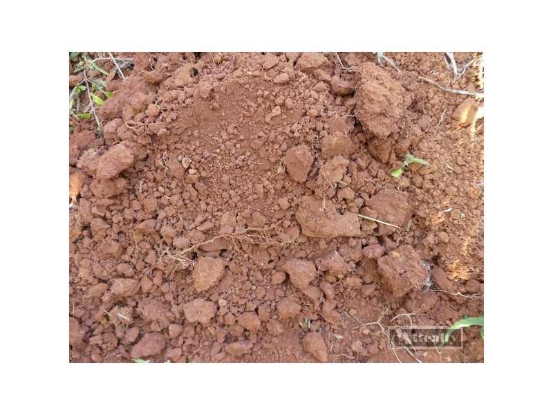 Innisfail QLD 4860