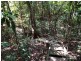 Mena Creek QLD 4871