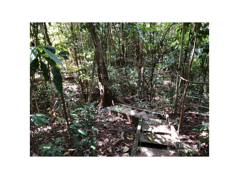 Mena Creek QLD 4871
