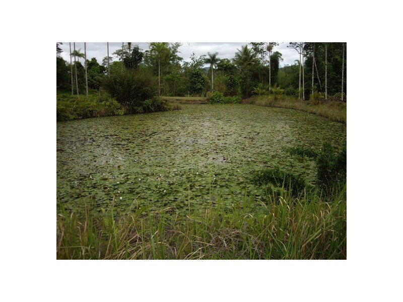 Innisfail QLD 4860