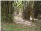 Innisfail QLD 4860