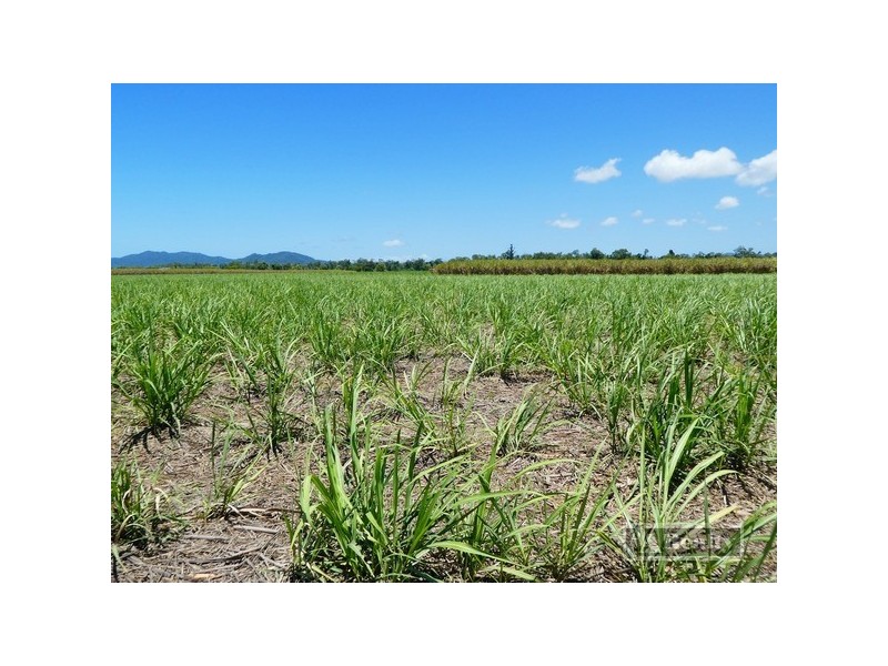 Kurrimine Beach QLD 4871