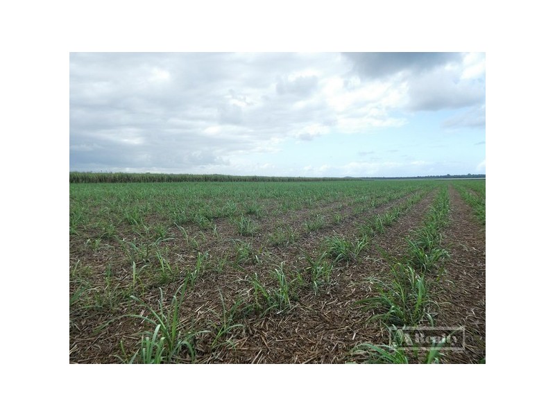 Kurrimine Beach QLD 4871