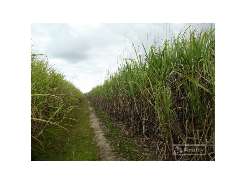 Kurrimine Beach QLD 4871