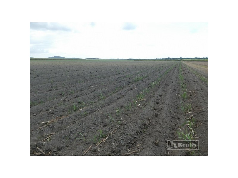 Kurrimine Beach QLD 4871