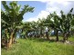 Innisfail QLD 4860