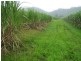 Cowley QLD 4871