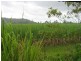 Cowley QLD 4871