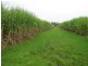 Cowley QLD 4871