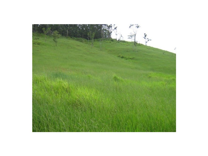 East Palmerston QLD 4860