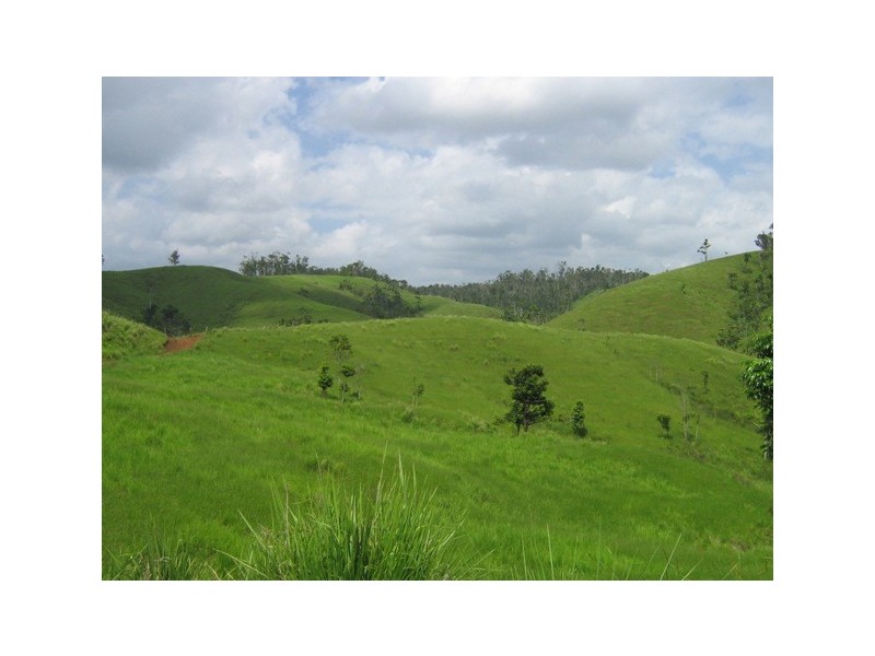 East Palmerston QLD 4860