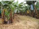 Innisfail QLD 4860