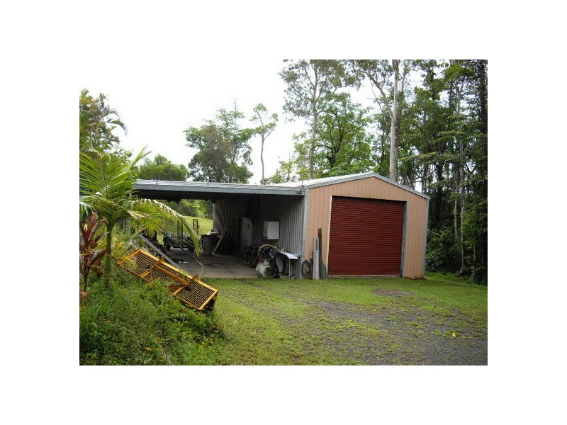 Flying Fish Point QLD 4860