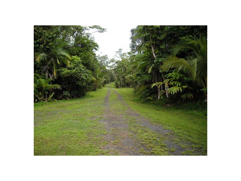 Flying Fish Point QLD 4860