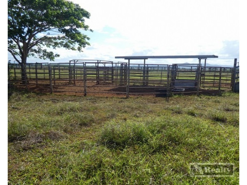 Daradgee QLD 4860