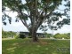 Mena Creek QLD 4871