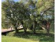 Mourilyan QLD 4858
