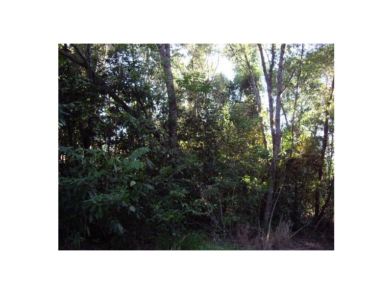 Innisfail QLD 4860