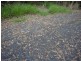 Innisfail QLD 4860