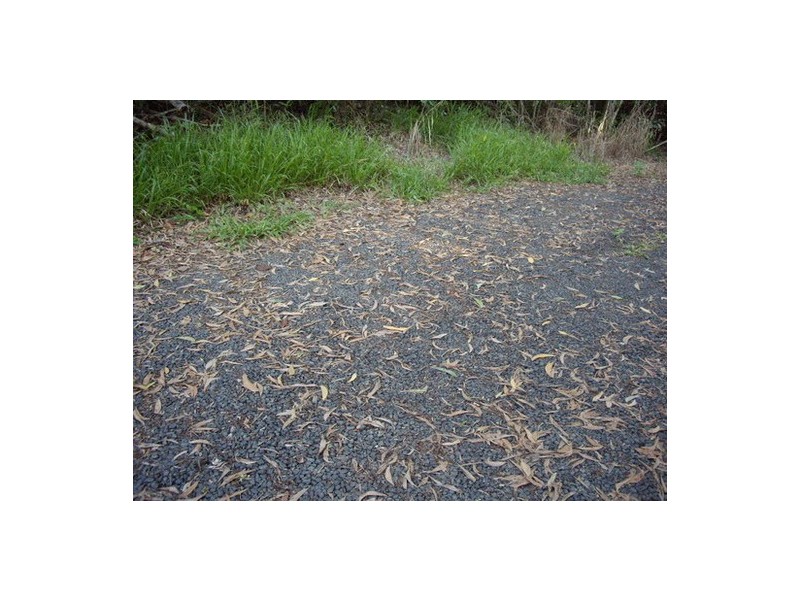 Innisfail QLD 4860