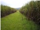 Innisfail QLD 4860