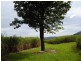 Innisfail QLD 4860