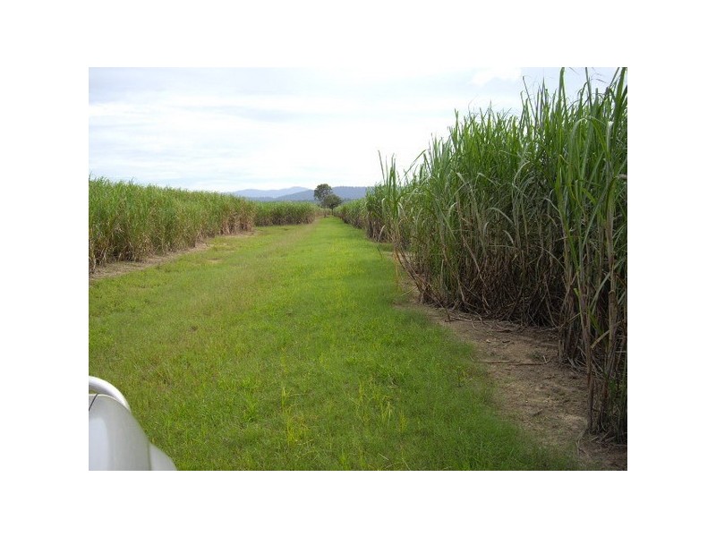 Innisfail QLD 4860