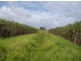 Innisfail QLD 4860