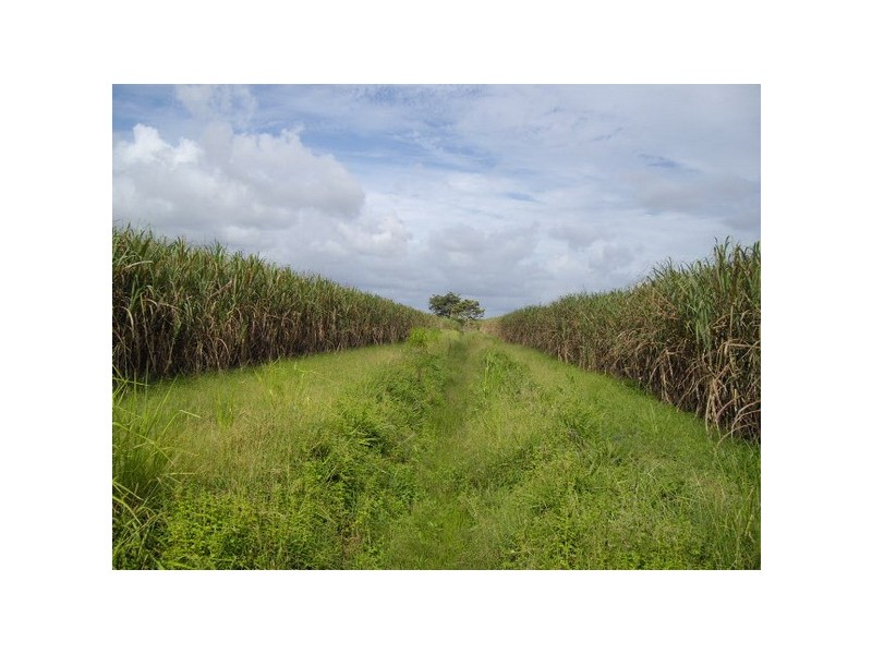 Innisfail QLD 4860