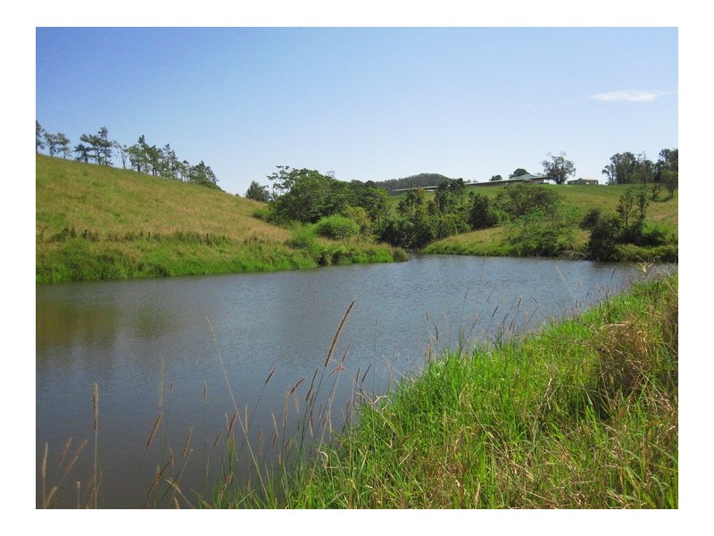 Millaa Millaa QLD 4886