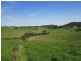 Millaa Millaa QLD 4886
