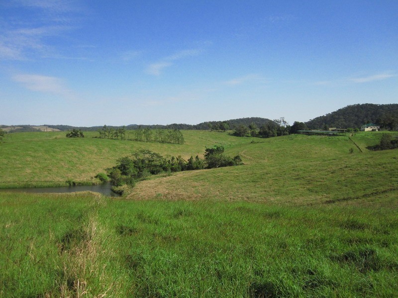 Millaa Millaa QLD 4886