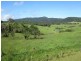Millaa Millaa QLD 4886