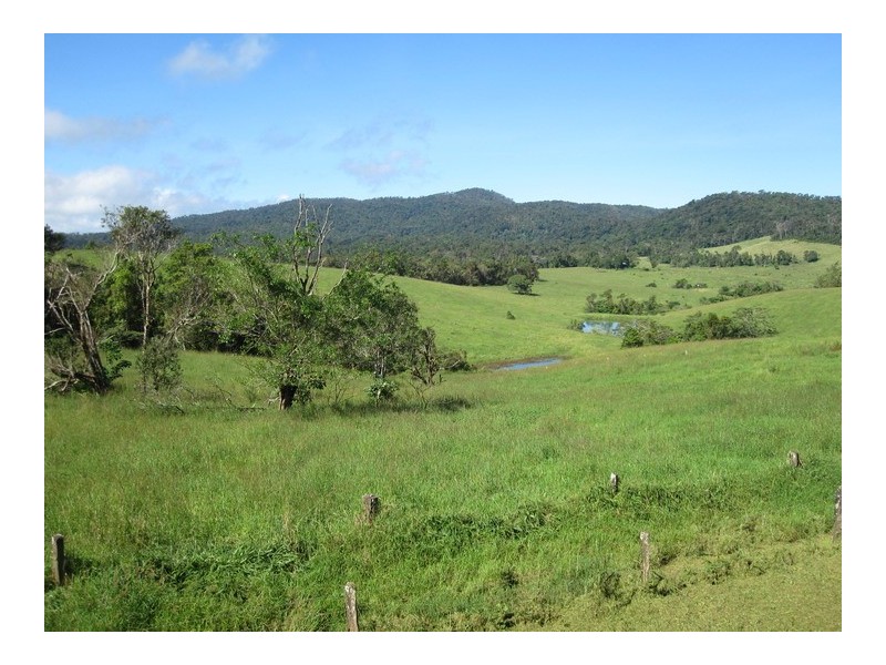 Millaa Millaa QLD 4886