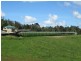 Millaa Millaa QLD 4886