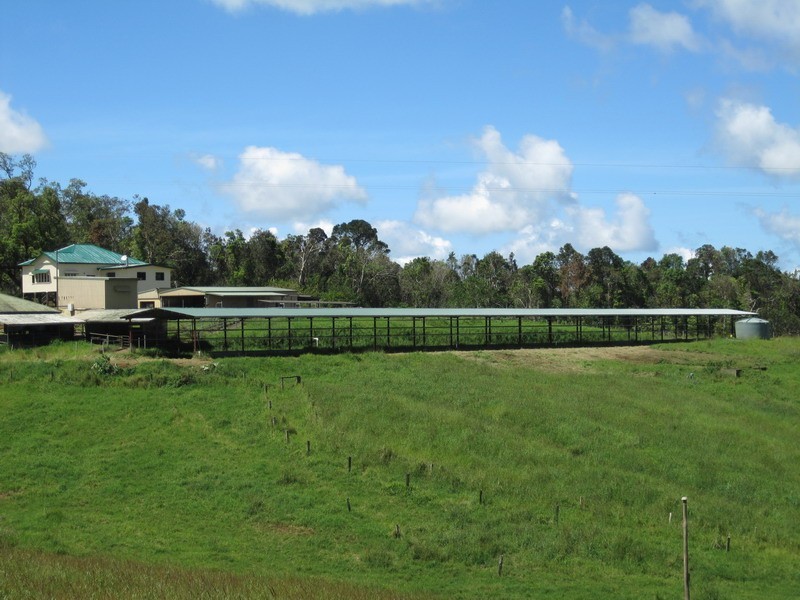 Millaa Millaa QLD 4886