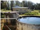 Millaa Millaa QLD 4886