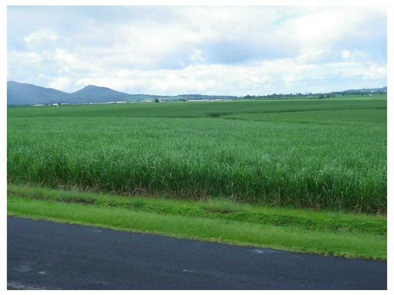 Innisfail QLD 4860