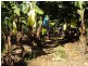 Innisfail QLD 4860