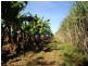 Innisfail QLD 4860