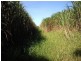 Innisfail QLD 4860