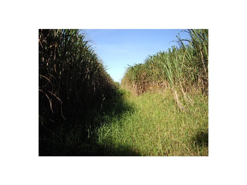 Innisfail QLD 4860