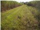 Innisfail QLD 4860